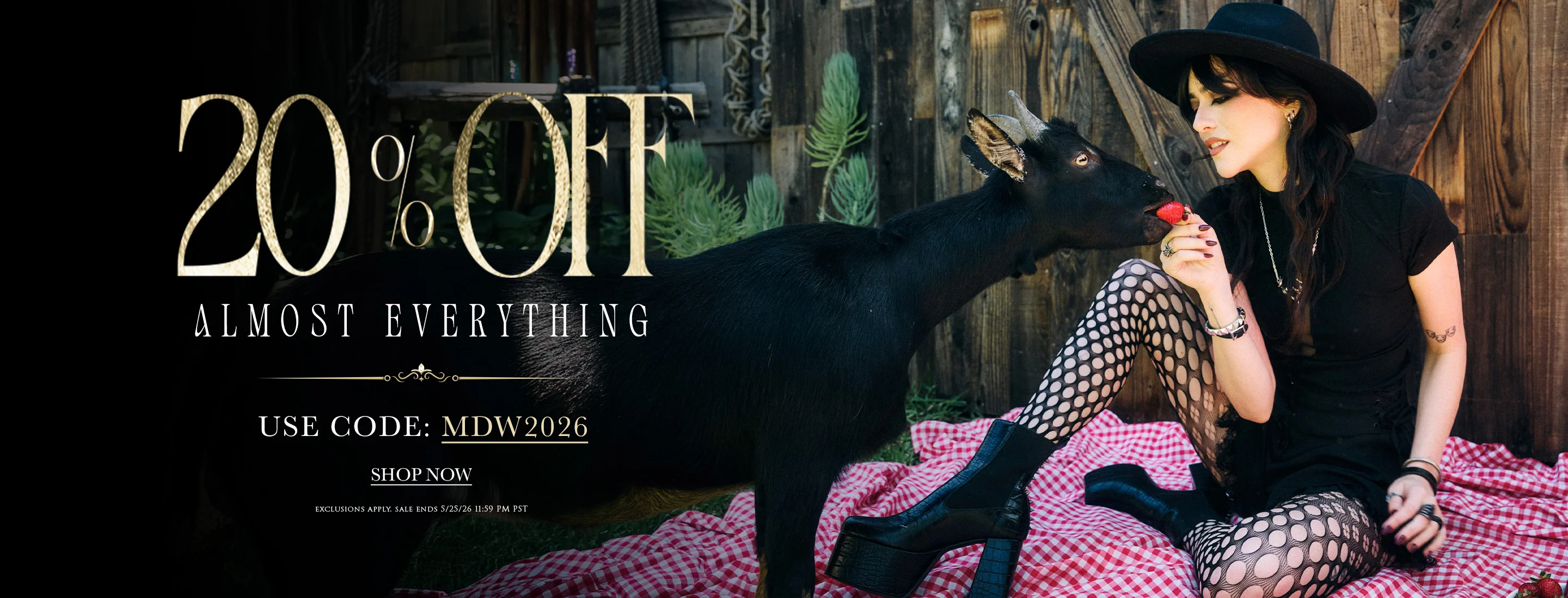 Own the Night in Style